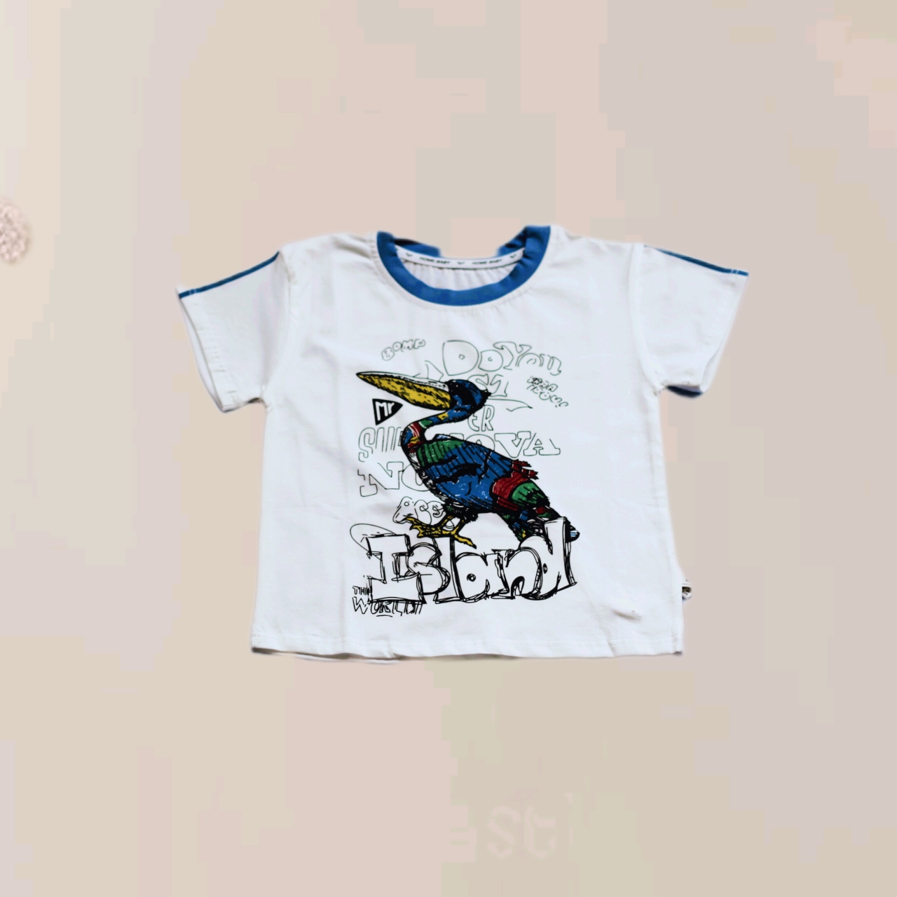 Boys shirt & shorts